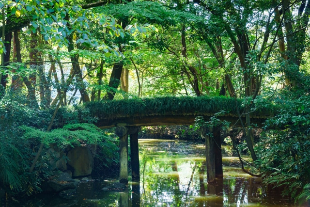 wabisabi and japanese garde